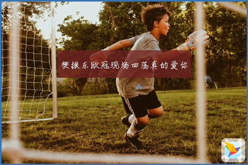 樊振东欧冠现场回荡真的爱你