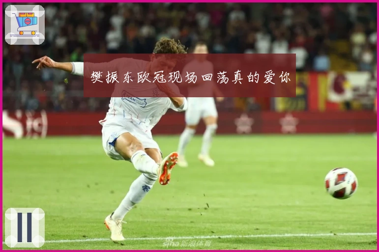 樊振东欧冠现场回荡真的爱你